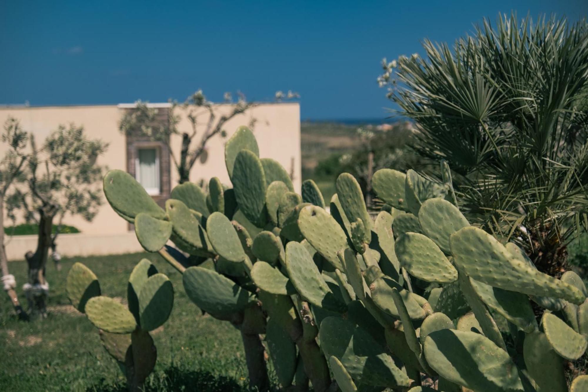 New Exclusive Lodges, Marzamemi, Noto 파키노 외부 사진